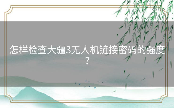 怎样检查大疆3无人机链接密码的强度？