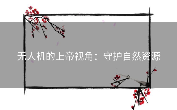 无人机的上帝视角：守护自然资源