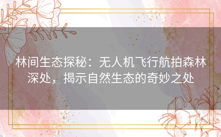 林间生态探秘：无人机飞行航拍森林深处，揭示自然生态的奇妙之处