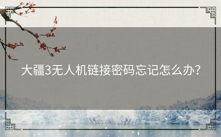 大疆3无人机链接密码忘记怎么办？