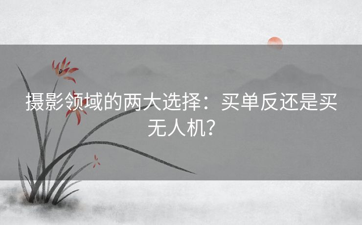 摄影领域的两大选择：买单反还是买无人机？