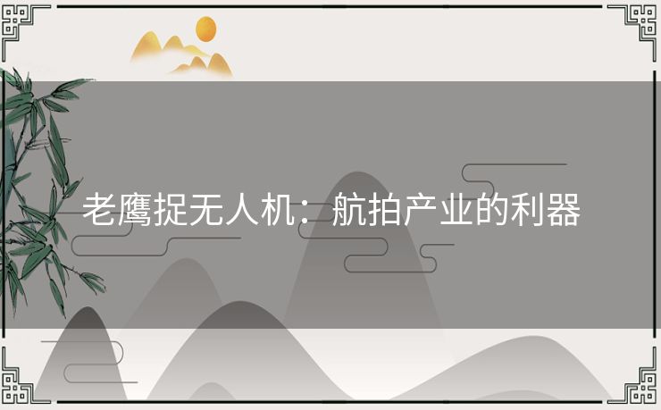 老鹰捉无人机：航拍产业的利器