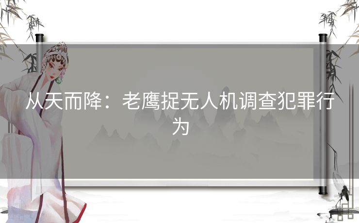 从天而降：老鹰捉无人机调查犯罪行为