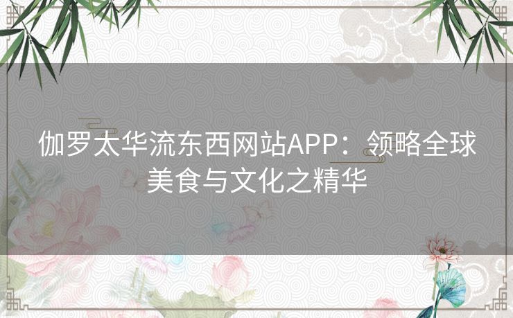 伽罗太华流东西网站APP：领略全球美食与文化之精华