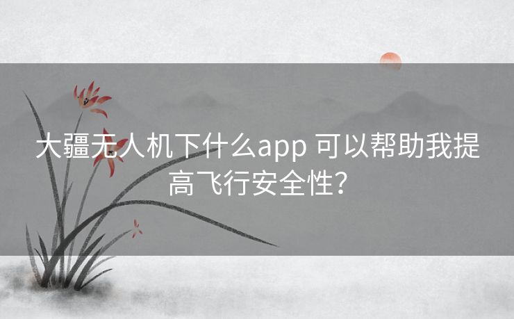 大疆无人机下什么app 可以帮助我提高飞行安全性？