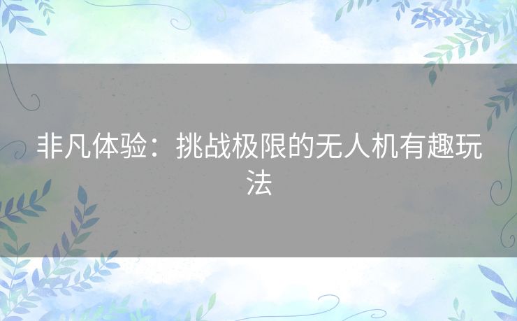 非凡体验：挑战极限的无人机有趣玩法