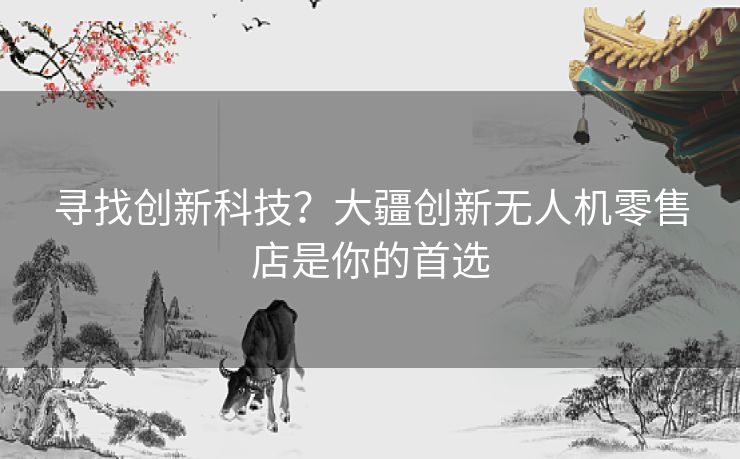 寻找创新科技？大疆创新无人机零售店是你的首选