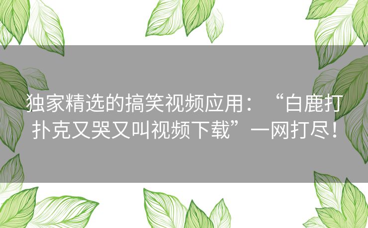 独家精选的搞笑视频应用：“白鹿打扑克又哭又叫视频下载”一网打尽！