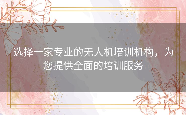 选择一家专业的无人机培训机构，为您提供全面的培训服务