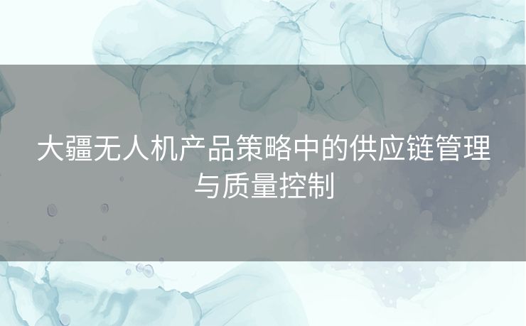 大疆无人机产品策略中的供应链管理与质量控制