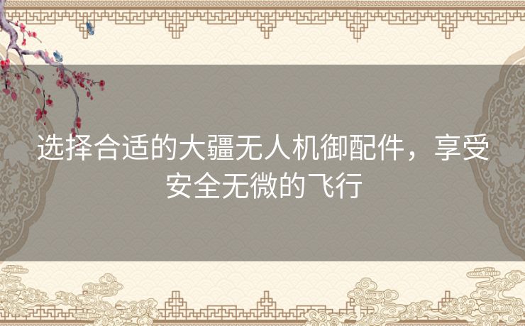 选择合适的大疆无人机御配件，享受安全无微的飞行