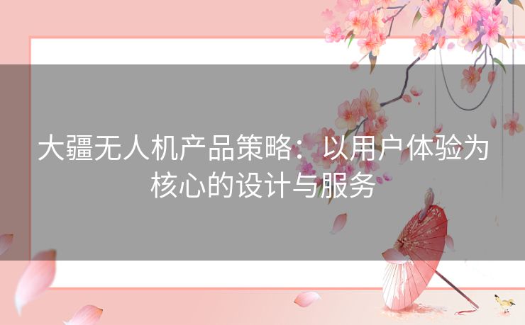 大疆无人机产品策略：以用户体验为核心的设计与服务