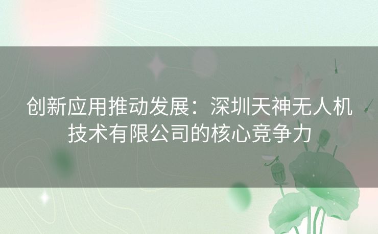 创新应用推动发展：深圳天神无人机技术有限公司的核心竞争力