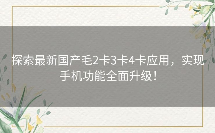 探索最新国产毛2卡3卡4卡应用，实现手机功能全面升级！