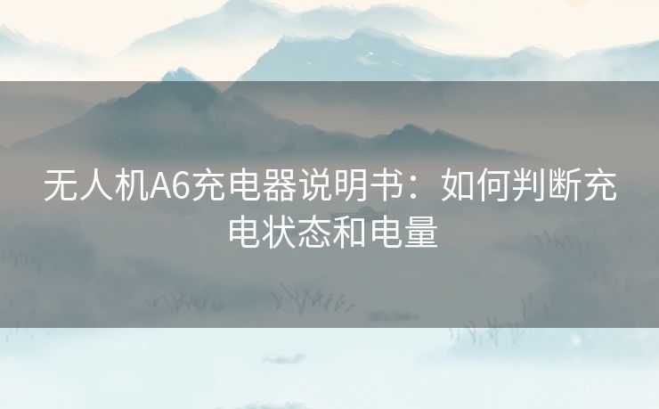 无人机A6充电器说明书：如何判断充电状态和电量