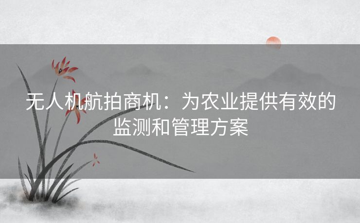 无人机航拍商机：为农业提供有效的监测和管理方案