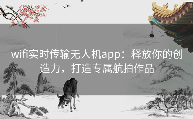 wifi实时传输无人机app：释放你的创造力，打造专属航拍作品