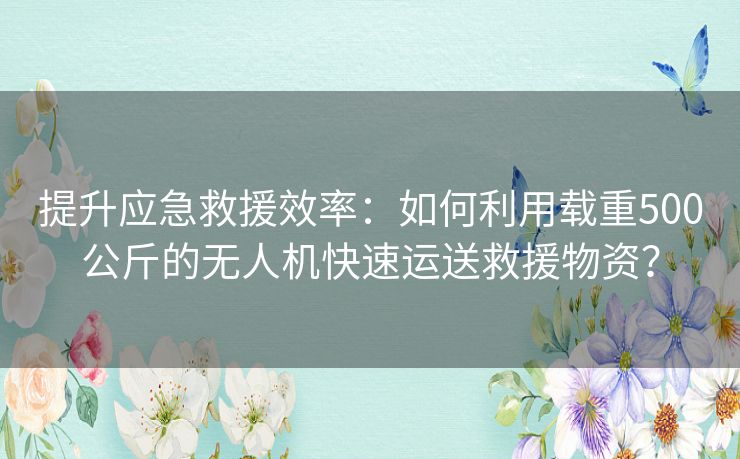 提升应急救援效率：如何利用载重500公斤的无人机快速运送救援物资？