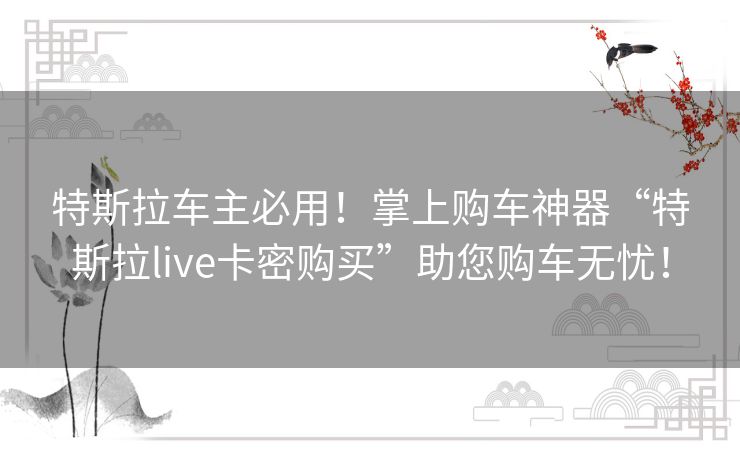 特斯拉车主必用！掌上购车神器“特斯拉live卡密购买”助您购车无忧！