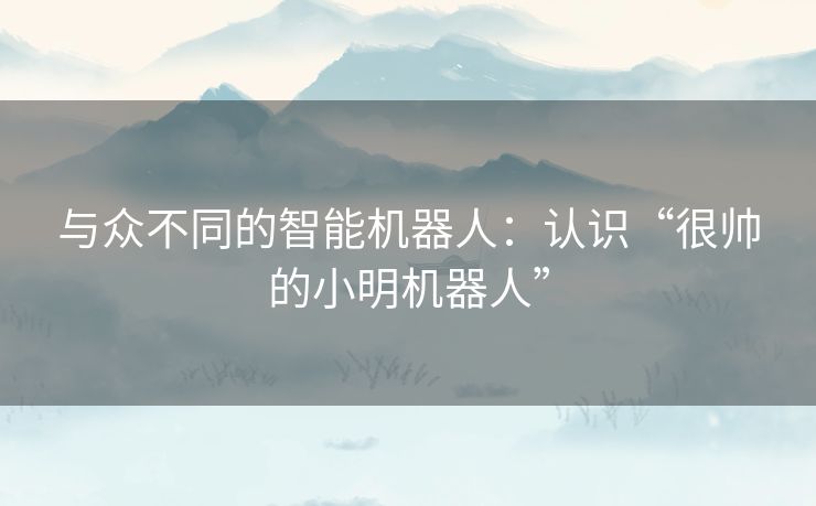 与众不同的智能机器人：认识“很帅的小明机器人”