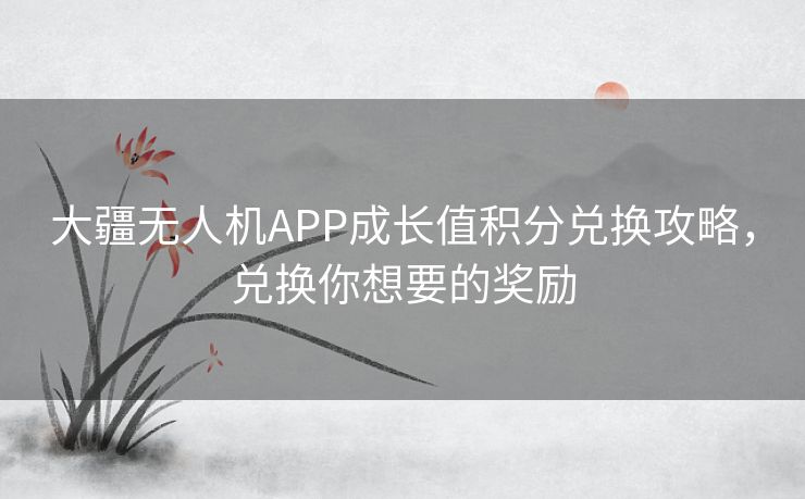 大疆无人机APP成长值积分兑换攻略，兑换你想要的奖励