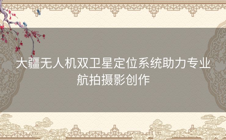 大疆无人机双卫星定位系统助力专业航拍摄影创作