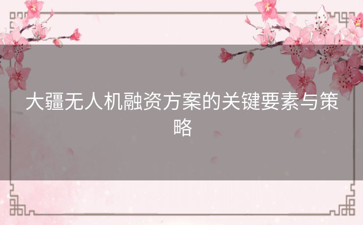 大疆无人机融资方案的关键要素与策略