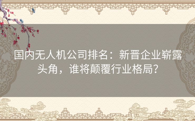 国内无人机公司排名：新晋企业崭露头角，谁将颠覆行业格局？