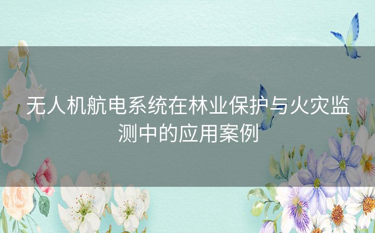 无人机航电系统在林业保护与火灾监测中的应用案例