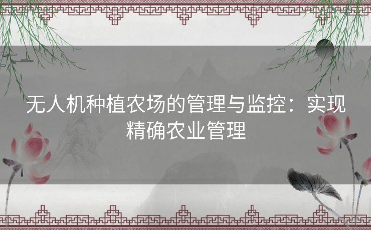 无人机种植农场的管理与监控：实现精确农业管理