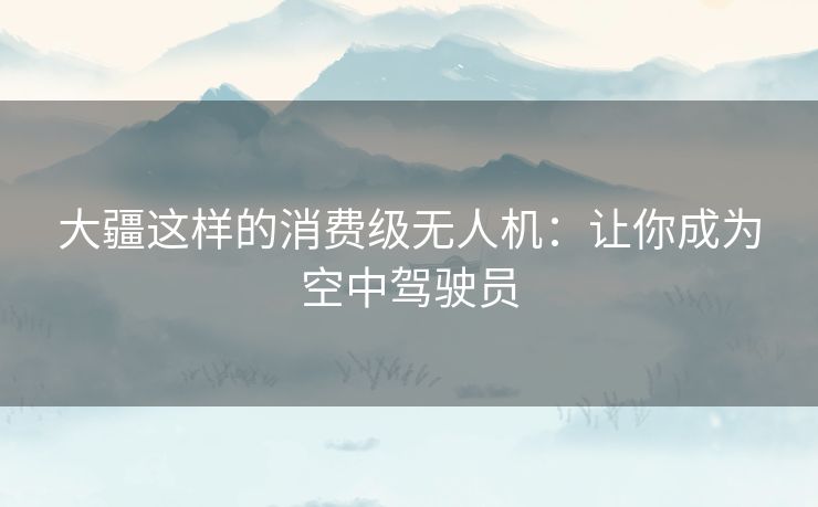 大疆这样的消费级无人机：让你成为空中驾驶员