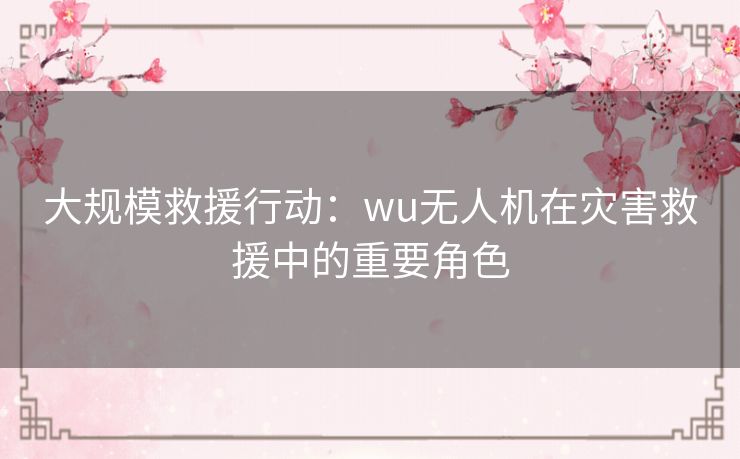 大规模救援行动：wu无人机在灾害救援中的重要角色