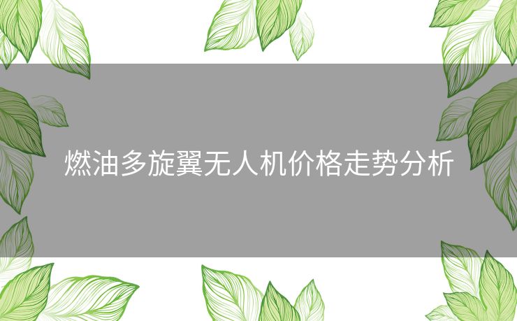 燃油多旋翼无人机价格走势分析