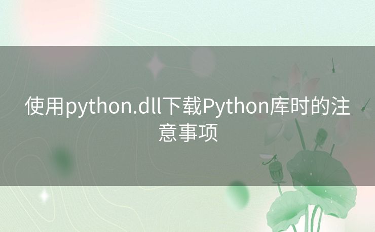 使用python.dll下载Python库时的注意事项