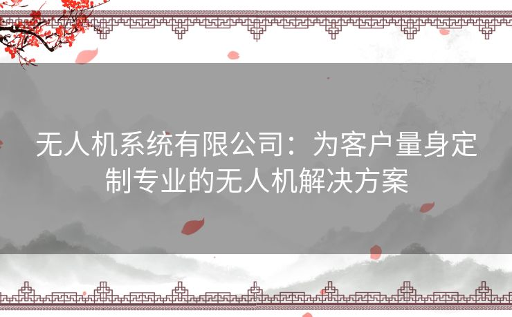 无人机系统有限公司：为客户量身定制专业的无人机解决方案