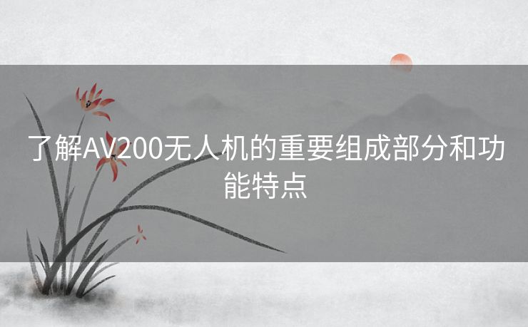 了解AV200无人机的重要组成部分和功能特点