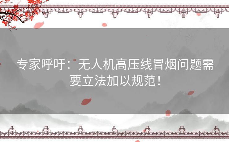 专家呼吁：无人机高压线冒烟问题需要立法加以规范！