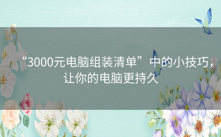 “3000元电脑组装清单”中的小技巧，让你的电脑更持久