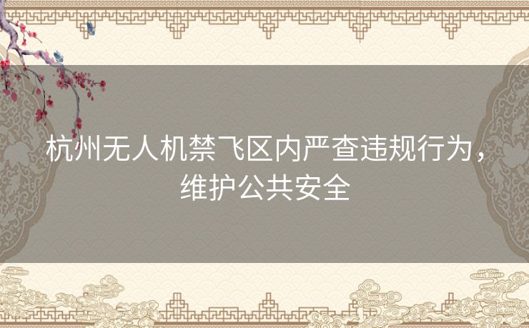 杭州无人机禁飞区内严查违规行为，维护公共安全