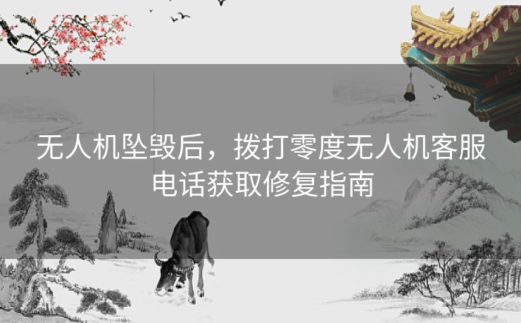 无人机坠毁后，拨打零度无人机客服电话获取修复指南