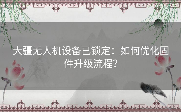 大疆无人机设备已锁定：如何优化固件升级流程？