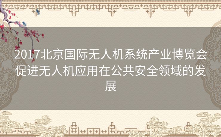 2017北京国际无人机系统产业博览会促进无人机应用在公共安全领域的发展