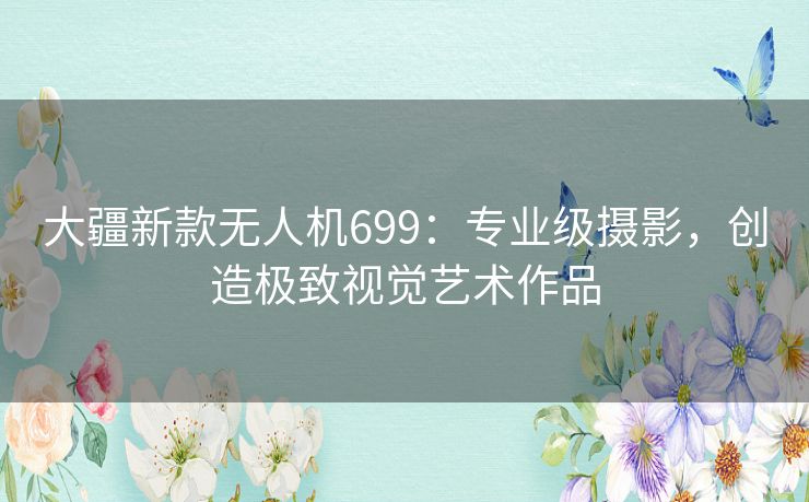 大疆新款无人机699：专业级摄影，创造极致视觉艺术作品