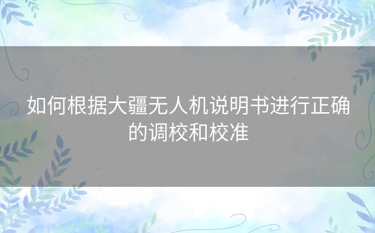 如何根据大疆无人机说明书进行正确的调校和校准