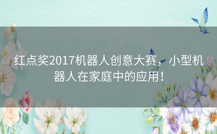 红点奖2017机器人创意大赛，小型机器人在家庭中的应用！