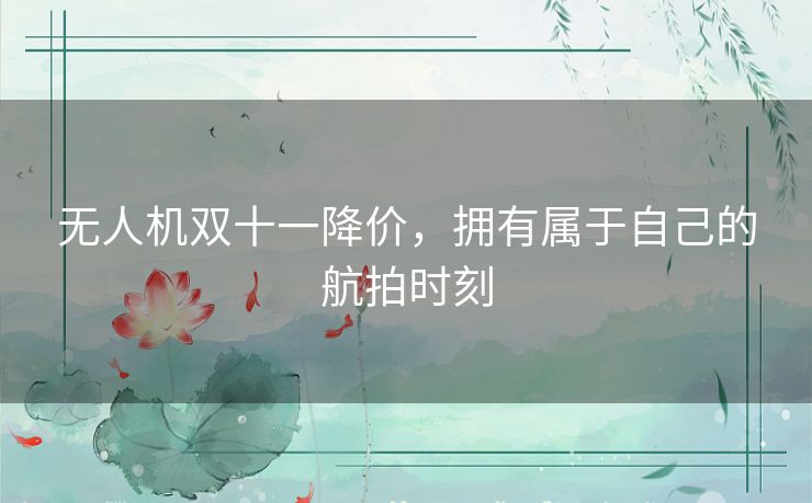 无人机双十一降价，拥有属于自己的航拍时刻