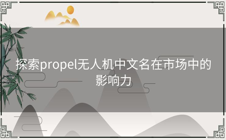 探索propel无人机中文名在市场中的影响力