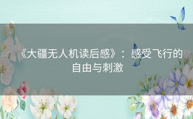 《大疆无人机读后感》：感受飞行的自由与刺激