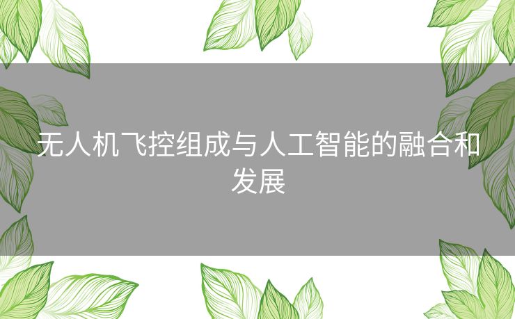 无人机飞控组成与人工智能的融合和发展