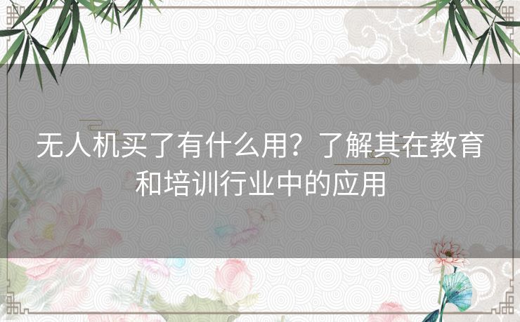 无人机买了有什么用？了解其在教育和培训行业中的应用